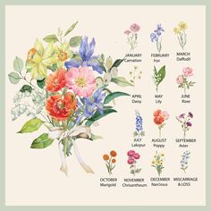 a bouquet of flowers with the names of each flower and their meaningss on it