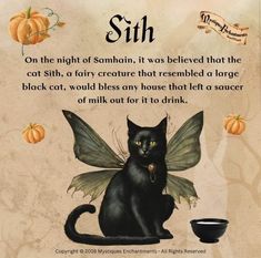 Cat Spells Witches, Magical Cat Art, Samhain Halloween, Curated Content, Wiccan Magic, Witch Spirituality, Grimoire Book, Magic Spell Book, Eclectic Witch