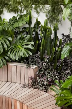 a wooden bench surrounded by plants and greenery on the side of a white wall