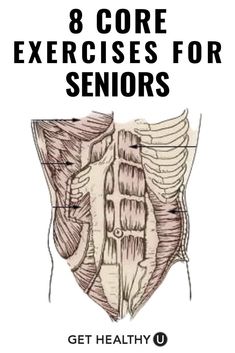 an image of the back of a man's chest with text that reads, 8 core exercises for seniors get healthy