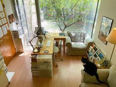 a cat sitting on the back of a couch in a living room next to a window