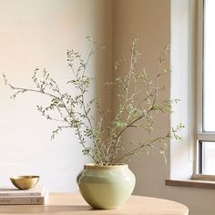 a green vase with branches in it on a table next to a book and bowl