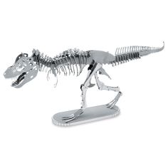 a dinosaur skeleton is shown on a white background