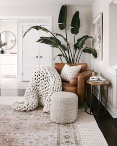 a living room filled with furniture and plants