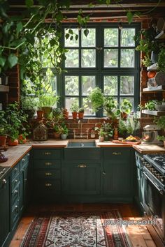 a kitchen filled with lots of green plants and potted plants on the windowsill