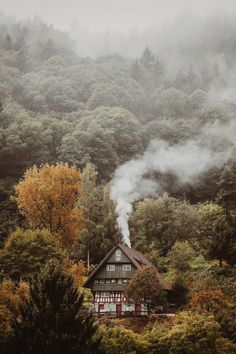 Foggy Day, Black Forest, A House, Cabin, Trees, Forest, Black