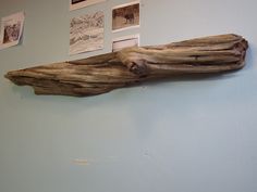 a piece of driftwood is hanging on the wall next to some pictures and frames