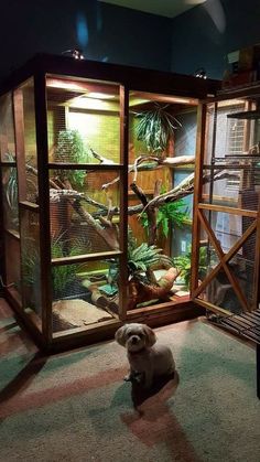 a small white dog sitting in front of an open cage with plants and birds inside