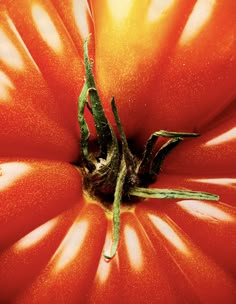 a close up view of a red and yellow tomato