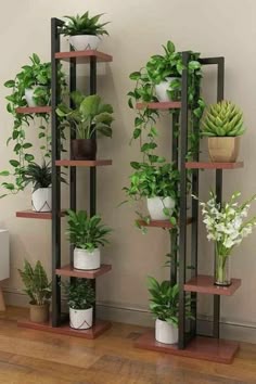 several potted plants are arranged on shelves in a room with hardwood floors and white walls