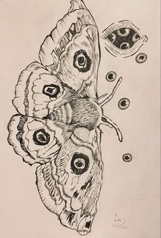 a drawing of two butterflies on top of each other