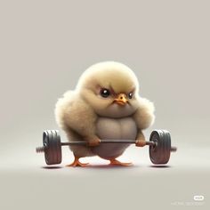 a small chicken sitting on top of a barbell with big eyes and an angry look