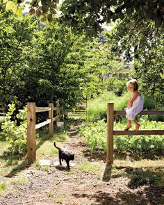 A family reclaims a dilapidated Portland cottage, gives it a clever renovation, and discovers the joys of living small. Wooden Fence, Future Life, Permaculture, Country Life