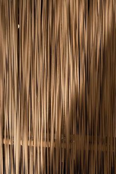 a close up view of some bamboo sticks