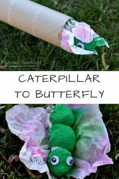 a paper roll caterpillar is sitting in the grass