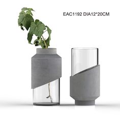 two vases with plants in them sitting next to each other on a white background