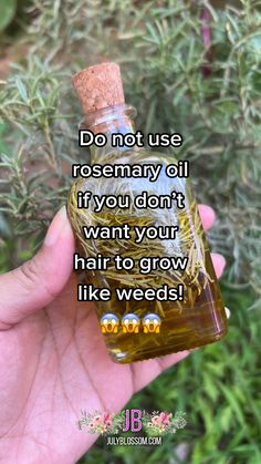 Rosemary Uses Diy, Herbs To Grow Hair, Coconut Oil And Rosemary Oil Hair Growth, Diy Rosemary Oil For Hair Growth, Homemade Oil For Hair Growth, Rosemary Water For Hair Growth Results, How To Use Rosemary Oil For Hair Growth, How To Make Rosemary Oil For Hair