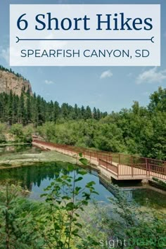 a wooden bridge over a small river surrounded by trees and bushes with the words 6 short hikes spearfish canyon, sd