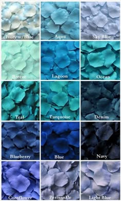 different shades of blue and green are shown in this color chart, with the names below them