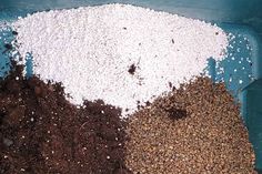 three different types of soil in a blue container