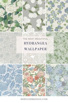 the most beautiful hydrangea wallpapers in blue and green colors with text overlay