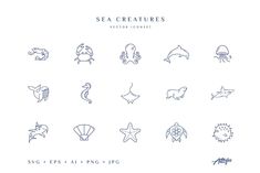 sea creatures line icons on white background