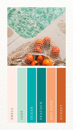 A vibrant summer moodboard featuring a teal and orange color palette. The palette includes burnt orange, peach, teal, turquoise, jade green, and light peach. This harmonious blend of bold and soft hues creates a lively and elegant look, perfect for small business branding or summer weddings. The moodboard showcases color swatches and design elements, highlighting the palette's versatility and refreshing aesthetic. Ohuhu Color Combinations, Beach Colour Palette, Teal And Orange Color Palette, Teal Colour Palette, Hotel Plans, Beach Color Palettes, Orange Color Palette, Turquoise Color Palette