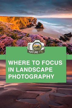 a beach with purple flowers and the words where to focus in landscape photography