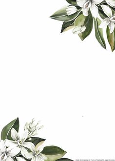 white flowers and green leaves on a white background