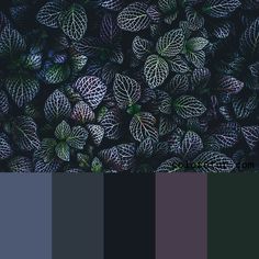 the color scheme is black and grey with white leaves on it, as well as dark blue