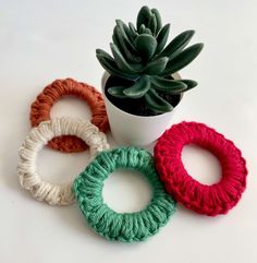 four crocheted rings sitting next to a potted plant on a white surface