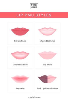 Lip Neutralization, Liner Styles, Lip Color Tattoo, Lip Liner Tattoo, Tattoo Artist Tips, Mircoblading Eyebrows, Lip Permanent Makeup, Ombre Lip, Lip Blushing