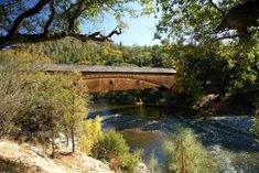 a wooden bridge over a river surrounded by trees