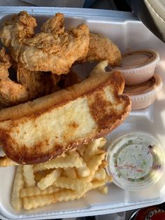 a hot dog and french fries in a styrofoam container