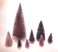 small purple trees are lined up in a row on a white surface, with one smaller tree standing out from the others