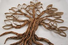 the roots of a tree are arranged in an intricate pattern on a white sheeted surface