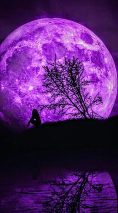 a person sitting on a hill in front of a purple full moon with a tree