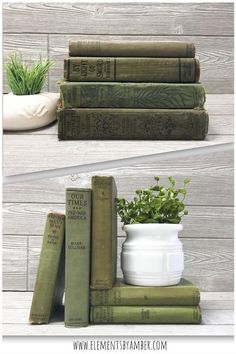 three books stacked on top of each other next to a potted plant and some books