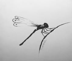 a black and white drawing of a dragon flys through the air with its wings spread