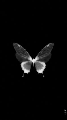 a black and white photo of a butterfly flying in the air at night with only one wing visible