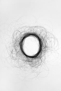 a black and white photo of a circular object with lots of hair on top of it