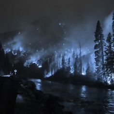 the night is dark and foggy, with trees in the foreground