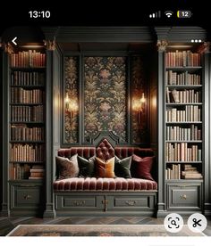 Dark Academia Interior, Women Home Office, Dark Academia Home, Office Ideas For Women, Home Office Ideas For Women, Academia Room, Home Library Rooms, Home Office Layout, Home Office Inspiration