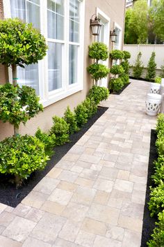 an image of a house with plants in the front yard and landscaping on the side