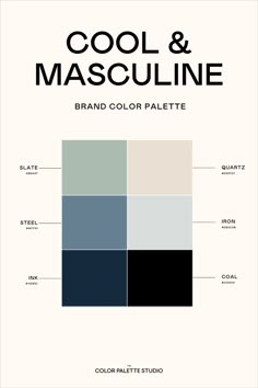 the color palette for cool and masculine