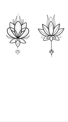 two black and white lotus flowers on a white background