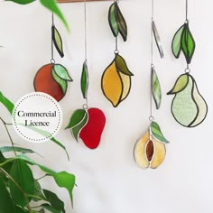 a group of stained glass hanging from a wall next to a green leafy plant