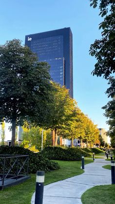 a walkway in the middle of a park with trees on both sides and buildings in the background