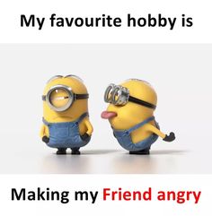 two minion figures with the caption my favorite hobby is making my friend angry