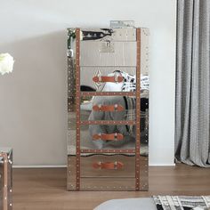 a mirrored cabinet with leather handles and rivets on the front, in a living room